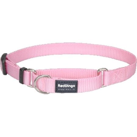 RED DINGO Red Dingo MC-ZZ-PK-ME Martingale Dog Collar Classic Pink; Medium MC-ZZ-PK-ME